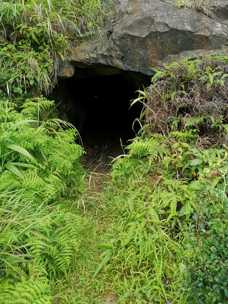 2022-06-26 台陽公司-黃金池-俯瞰稜-煙囟稜-黃金博物館_1744867