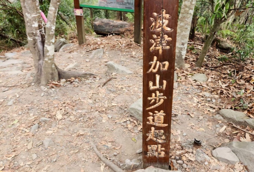 【中級山】谷關七雄波津加山_2742301