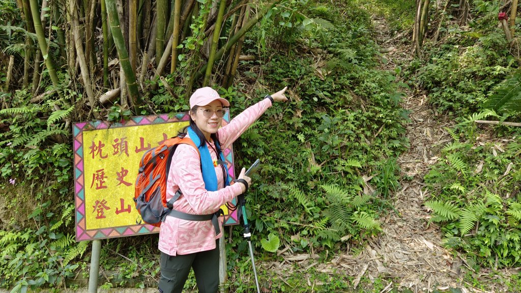 (姨婆趴趴走)第四集:桃園枕頭山古砲台步道、枕頭山、枕頭山西峰環狀縱走封面圖