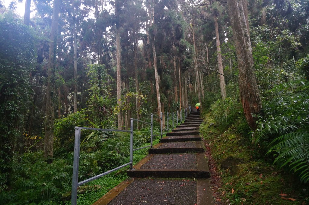 溪頭自然教育園區_2016901