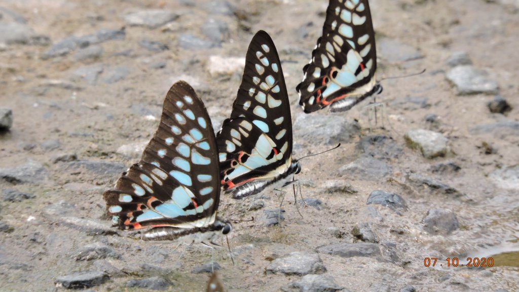就是喜歡這個藍天白雲的FU_1028381