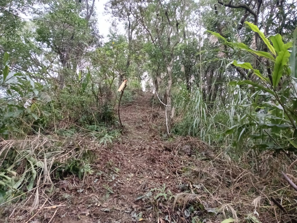 雙溪區彎穹平林山+平湖東步道+紙坑古道(億山煤礦)+紙坑山出平水聚落O型_2965821