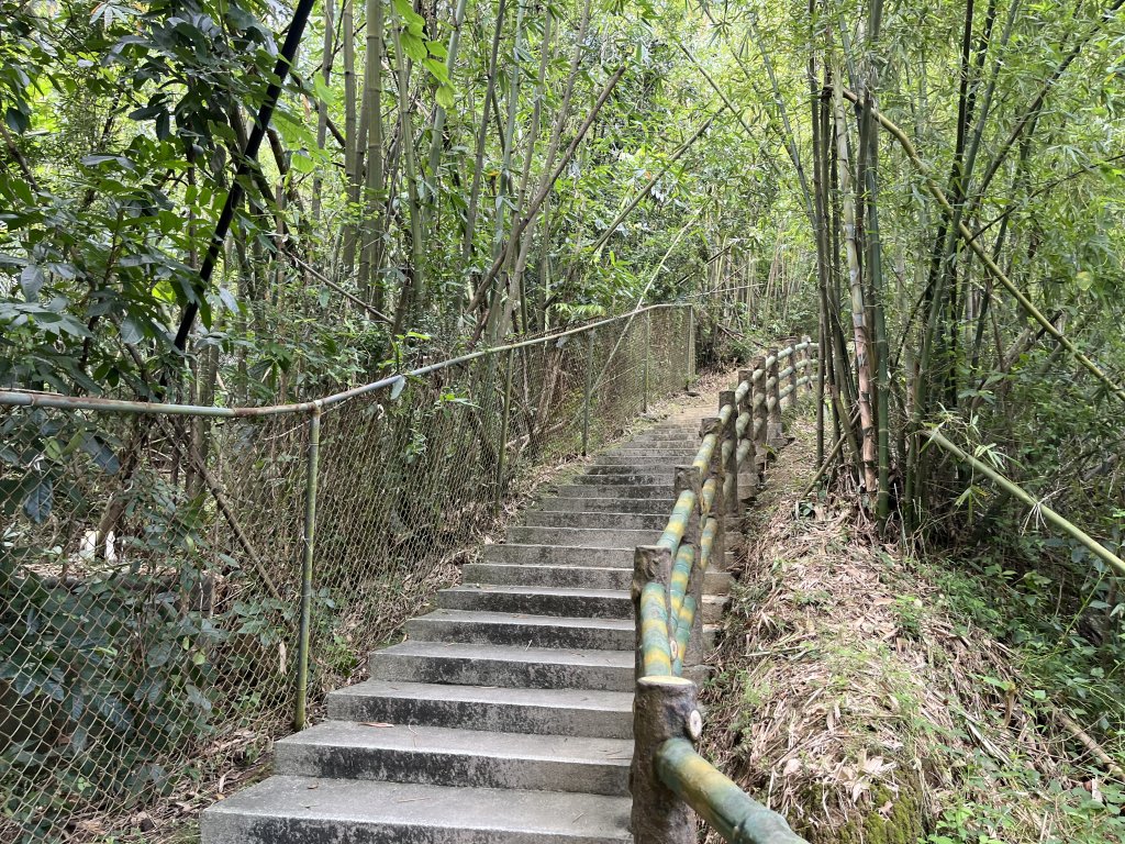 [百山百鳥尋旅-03/15] 2025_0817 虎形山公園步道_2863198
