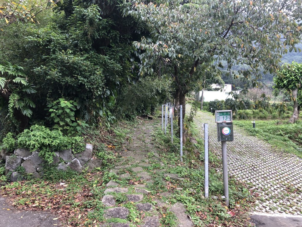 探訪「淡基橫斷古道西段之十八灣古道」_927492