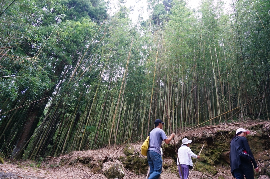 奮起湖大棟山_90457