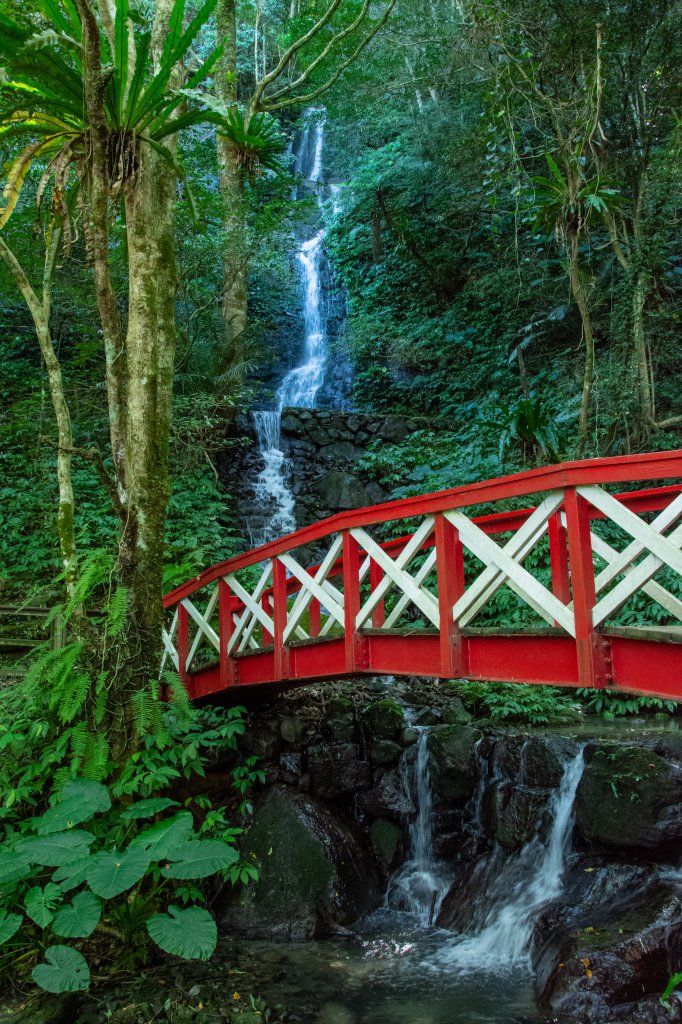 馬武督探索森林_2930694