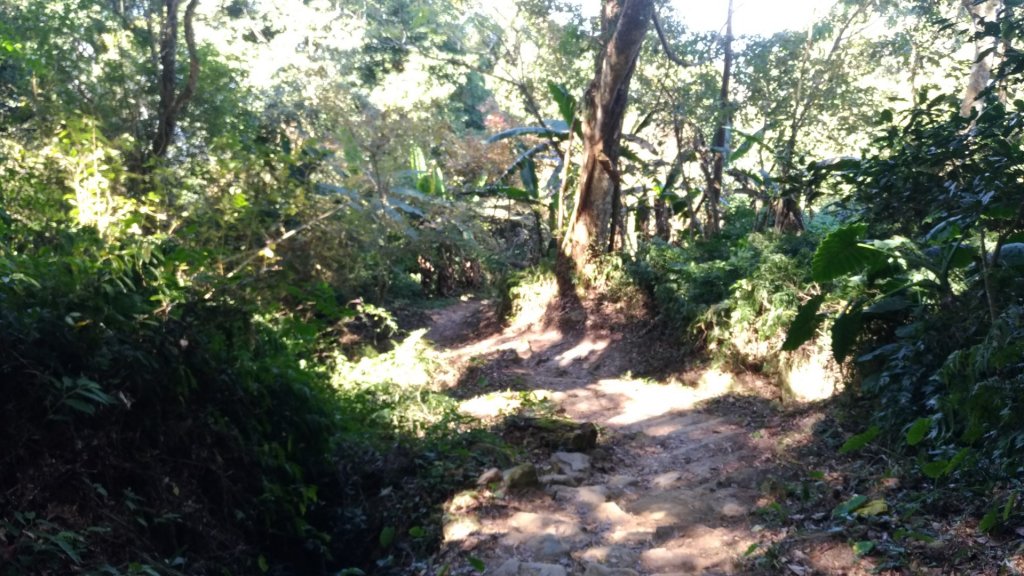 20190207馬那邦山_519015