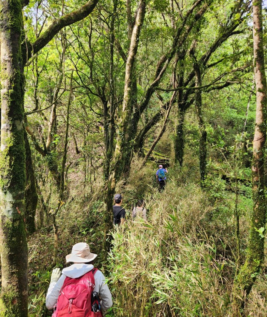 【中級山縱走】魯壁山，東穗山，大島田山，宇老觀景台_2771636