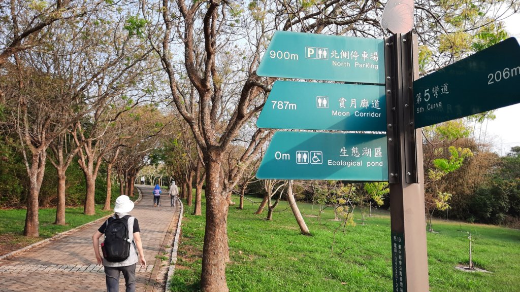 《台中》森林公園｜台中都會公園大O繞20230409_2102712