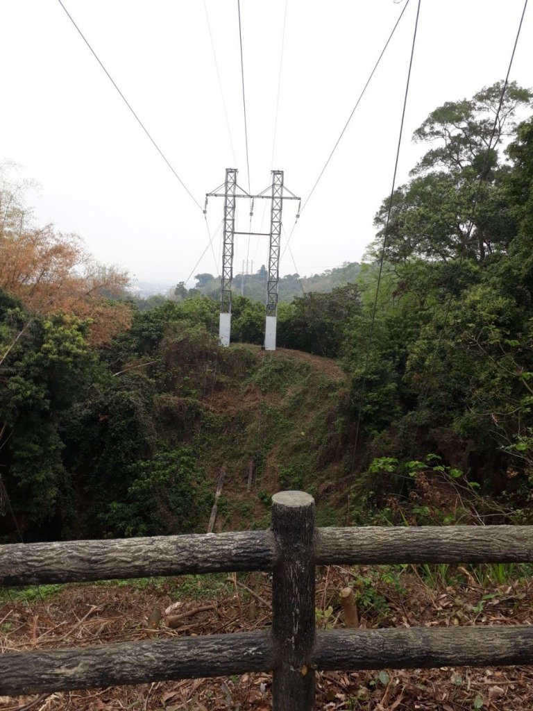 雲林林內龍過脈森林步道20190323_550614