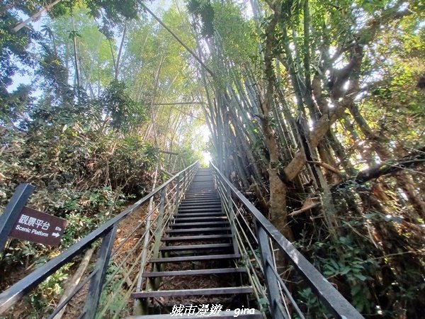 【雲林林內】台灣百大必訪步道。 龍過脈森林步道_1952047