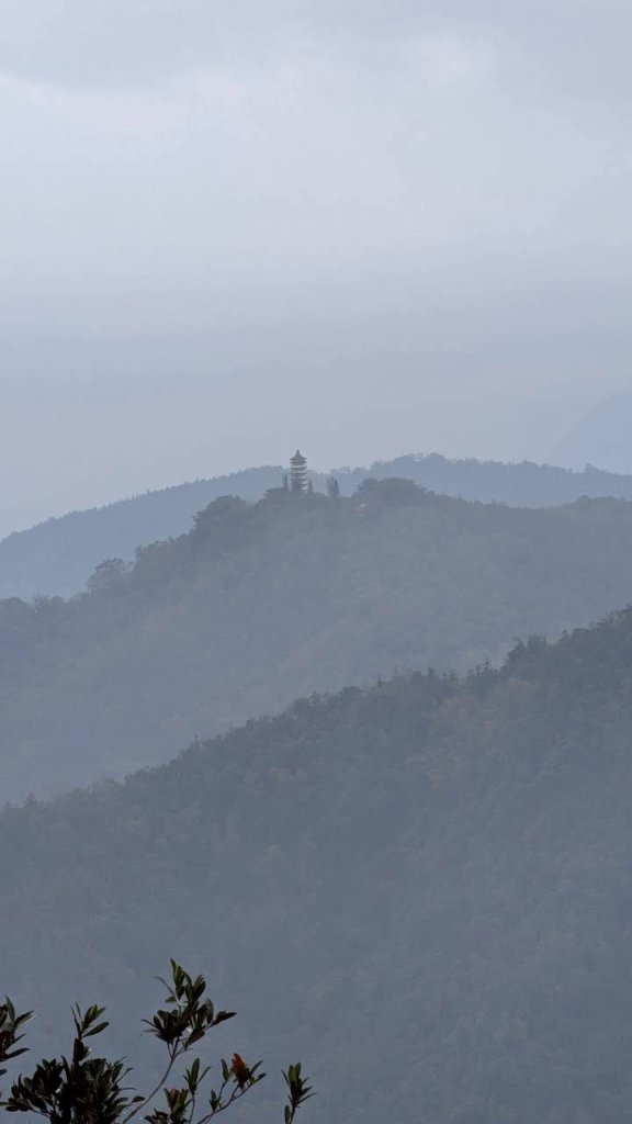 後尖山步道_3008321