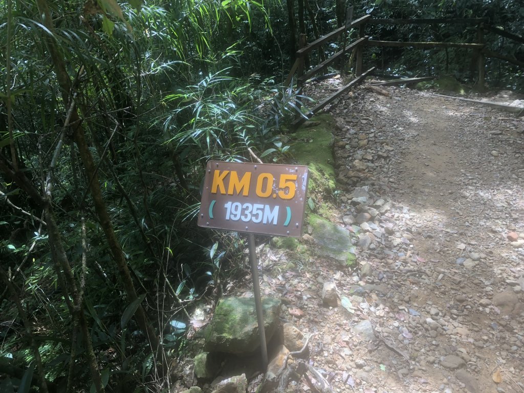 馬來西亞 沙巴神山_632011