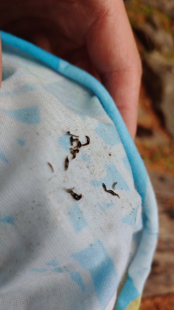 玉山八通關之最_1318470