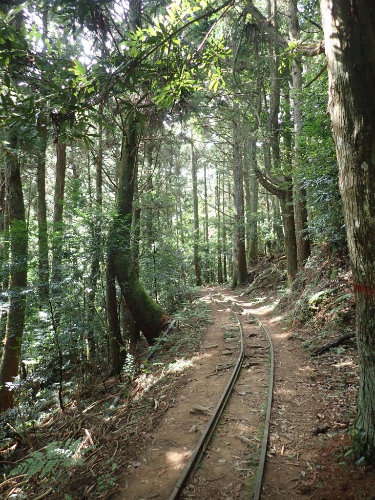 小百岳#34_加里山_鐵道支線一遊封面圖