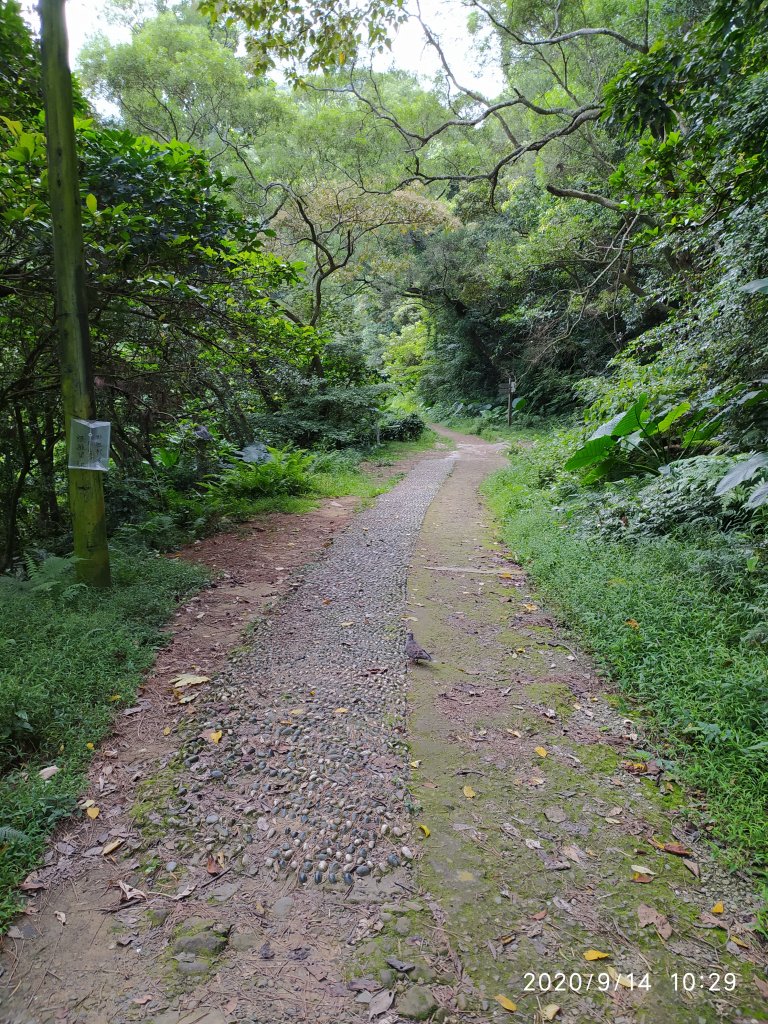 石門山+景春步道O形線_1104202