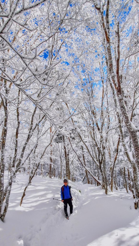 超綺麗夢幻的粉雪奇緣山行記在日本名古屋南沢山_2781237