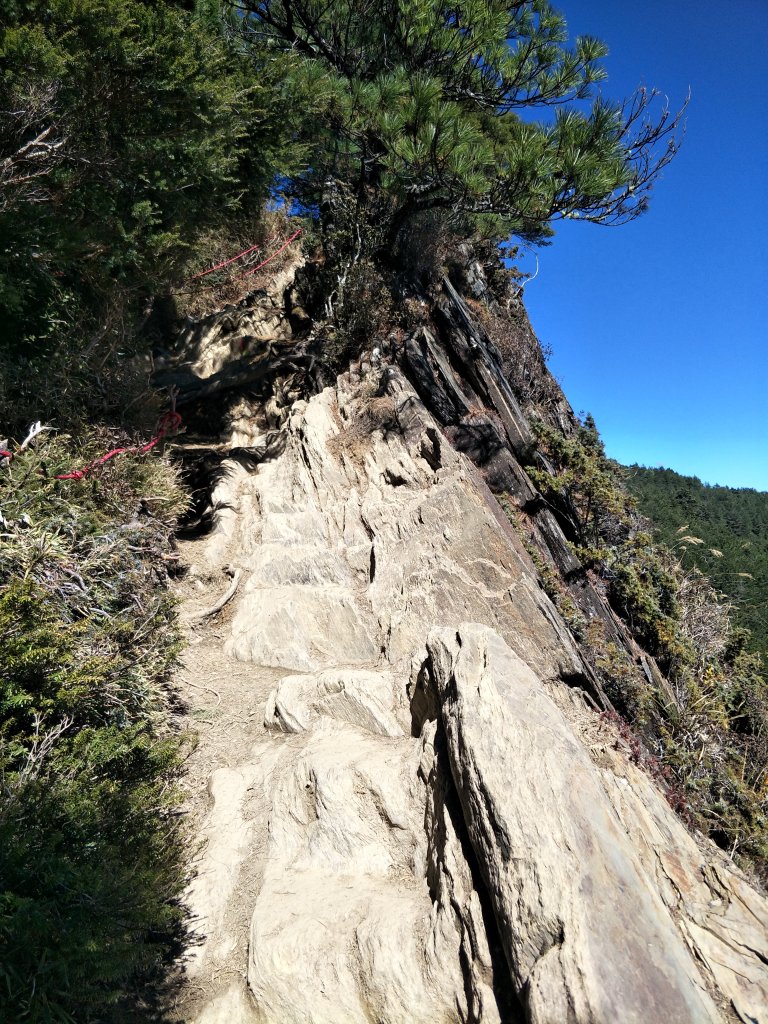 百岳：合歡北峰-雪季後_1243488