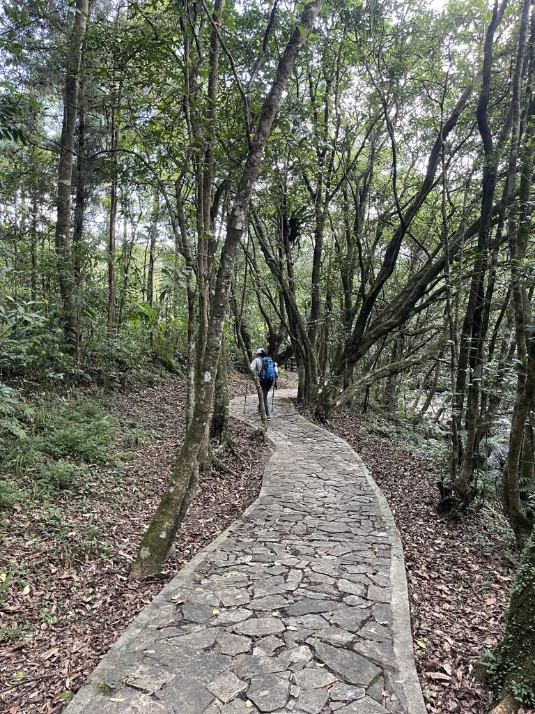 一二三訪虎豹潭古道/虎豹潭步道_2650003