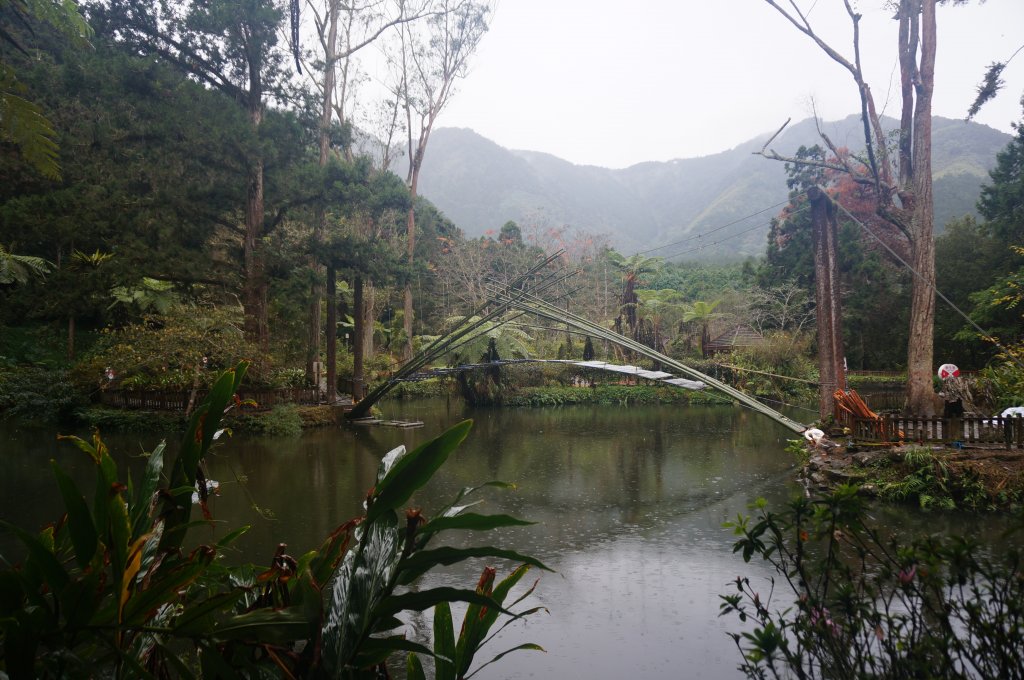 溪頭自然教育園區_2016893