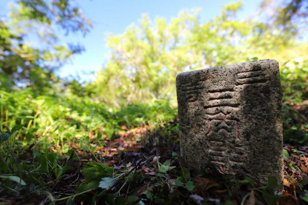 阿里山三霞 -- 楠梓仙溪左岸 南霞山_1490238