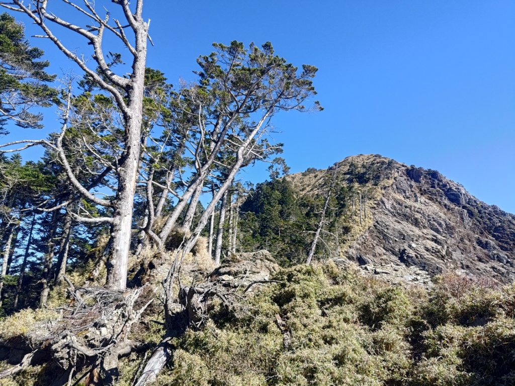 溪頭山連走魔保來山_2682729