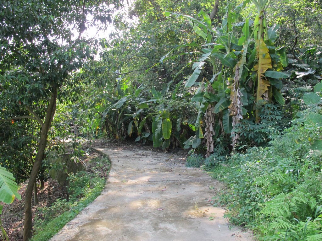 2019-09-26 石岡挑物古道_689247