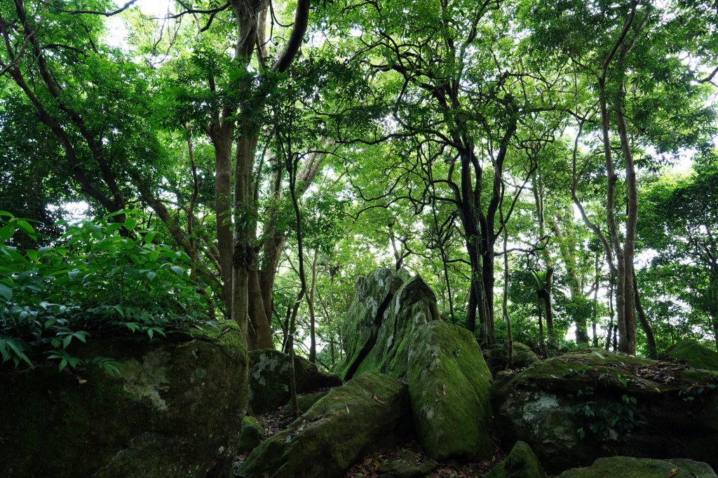 新竹 五峰 油羅山、霞山_2798237