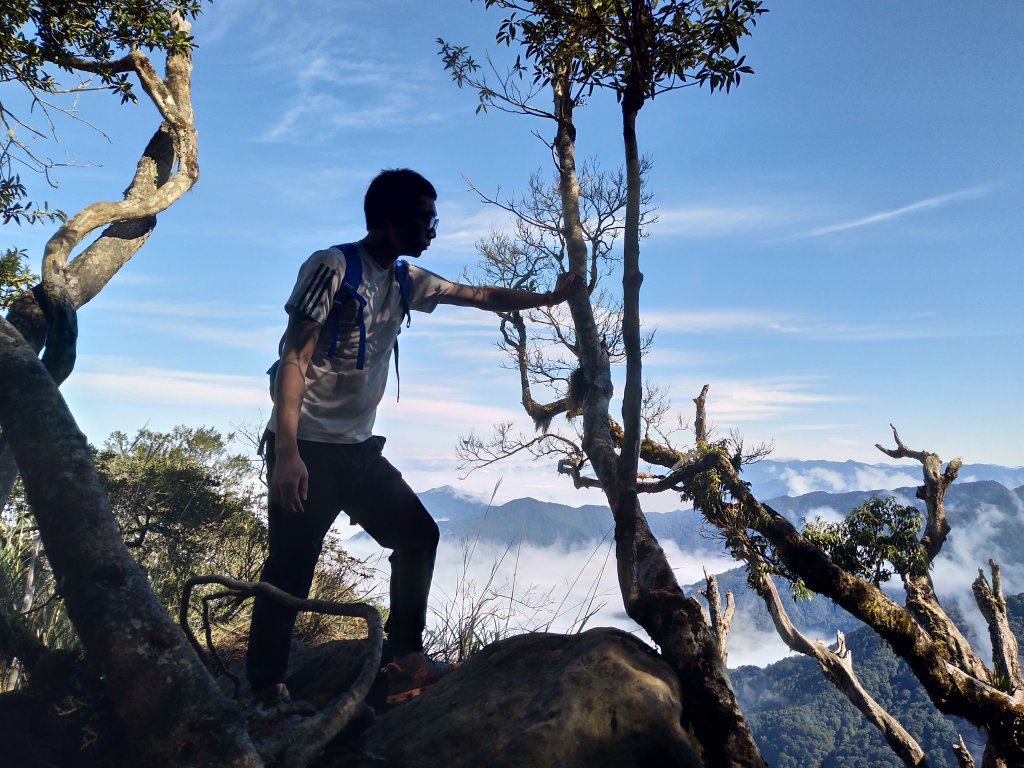 雨後天晴的加里山_1517373
