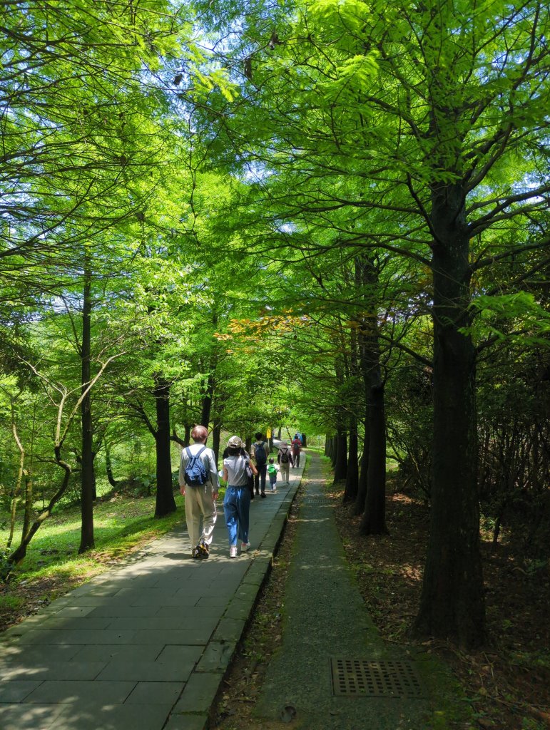 2025.04.27－金包里大路~小油坑縱走_2770948