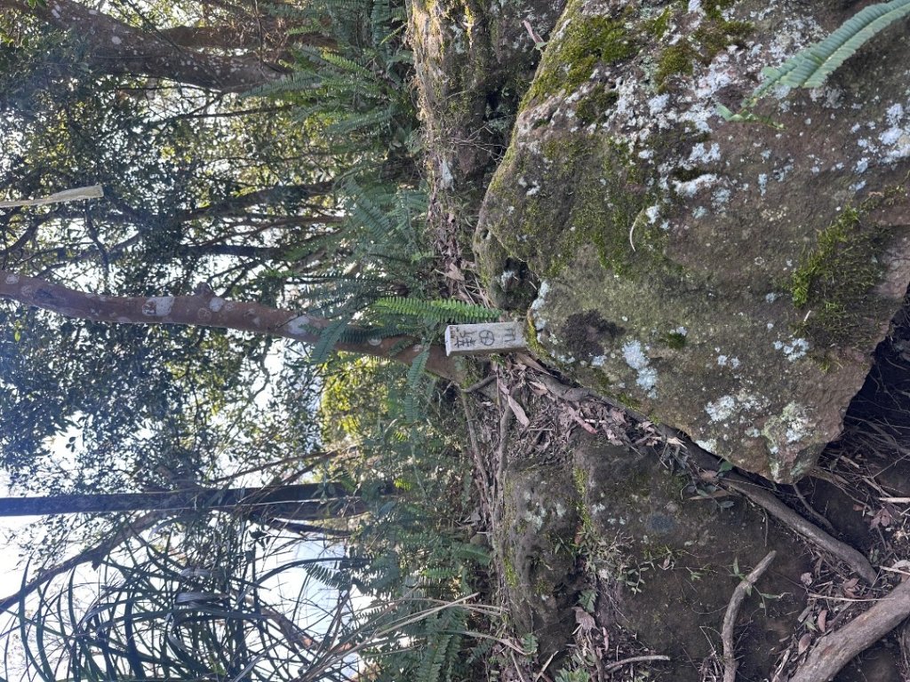 苗栗協雲宮_2712970