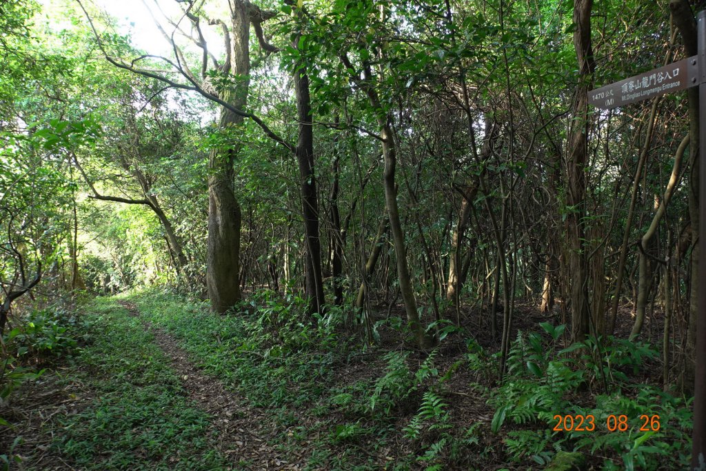 基隆 頂寮山、龍門山、五分山、頂子寮山_2265925
