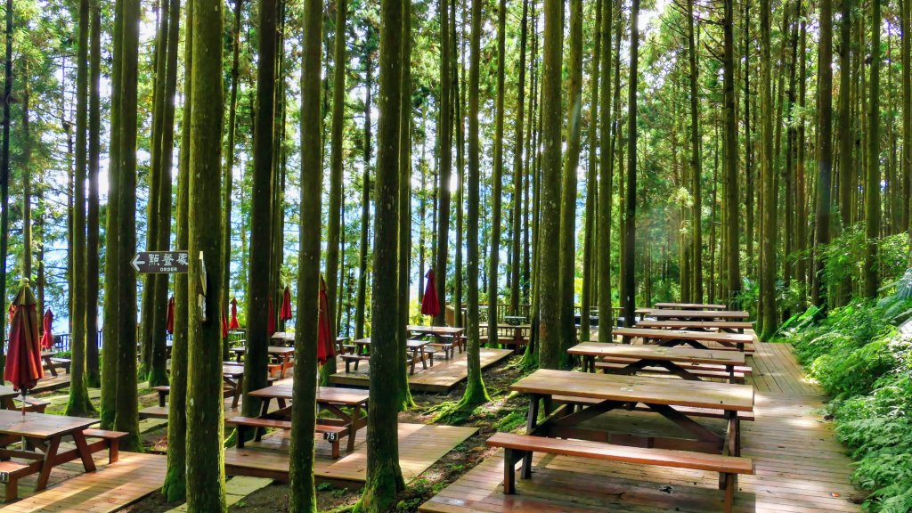 魔幻森林_2882080