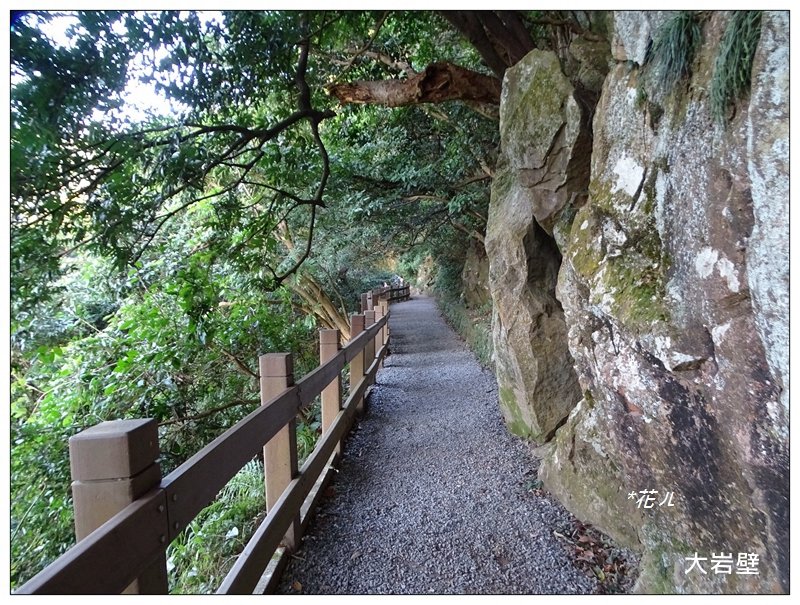 天母古道/水管路封面圖