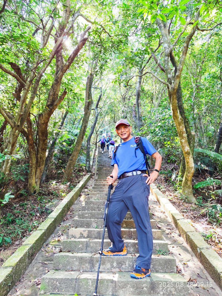 翠山步道、大崙頭尾山親山步道【臺北健走趣】_2874310