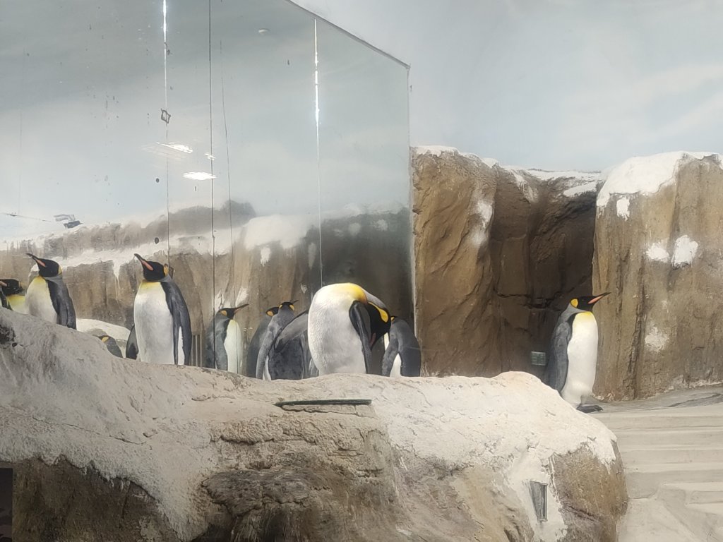 台北動物園_2664019