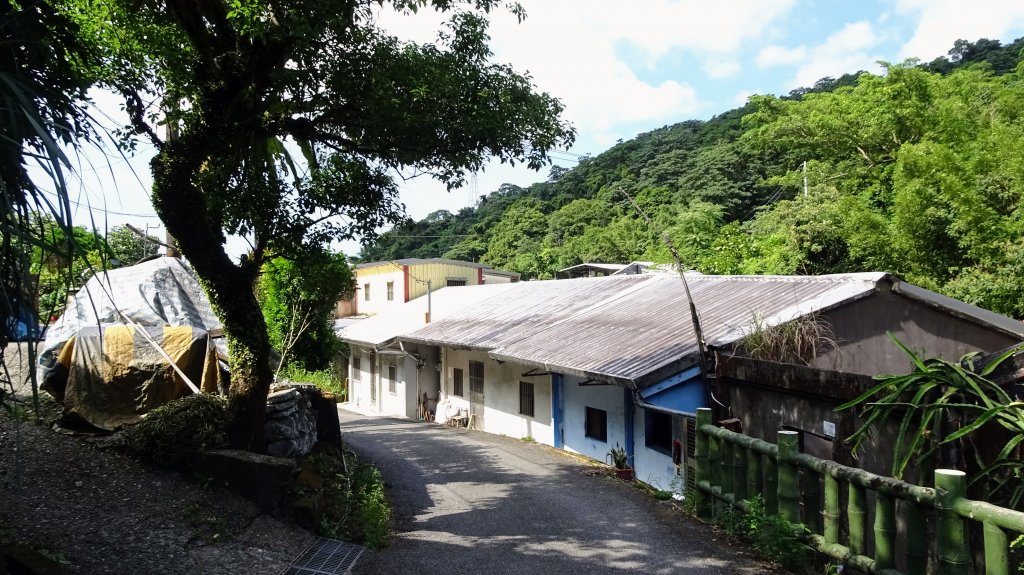 滴水山,粗坑頭山封面圖