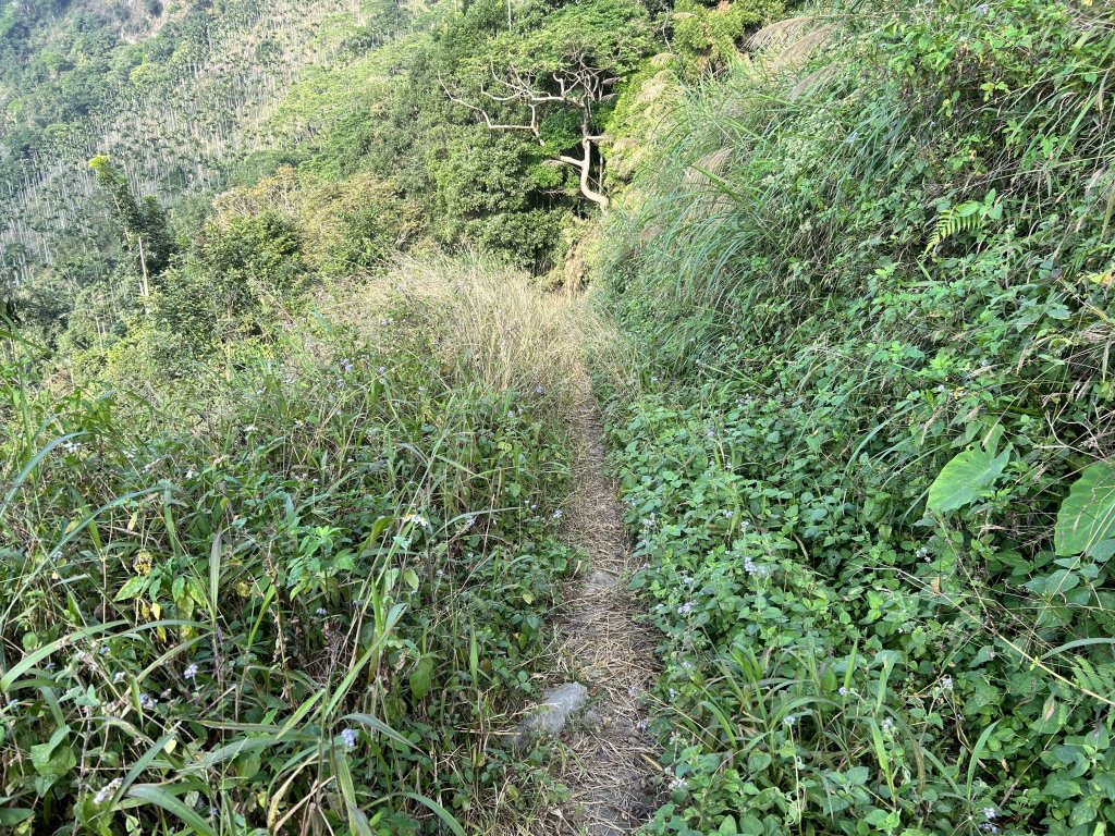 竹子尖山_2365467