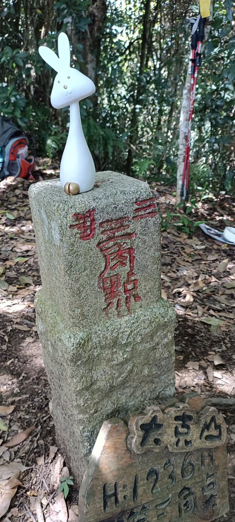 2024/06/30-大克山砲台古道_2539740
