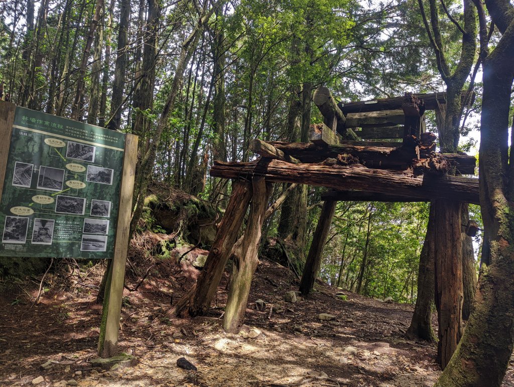 谷關七雄：八仙山_1744124