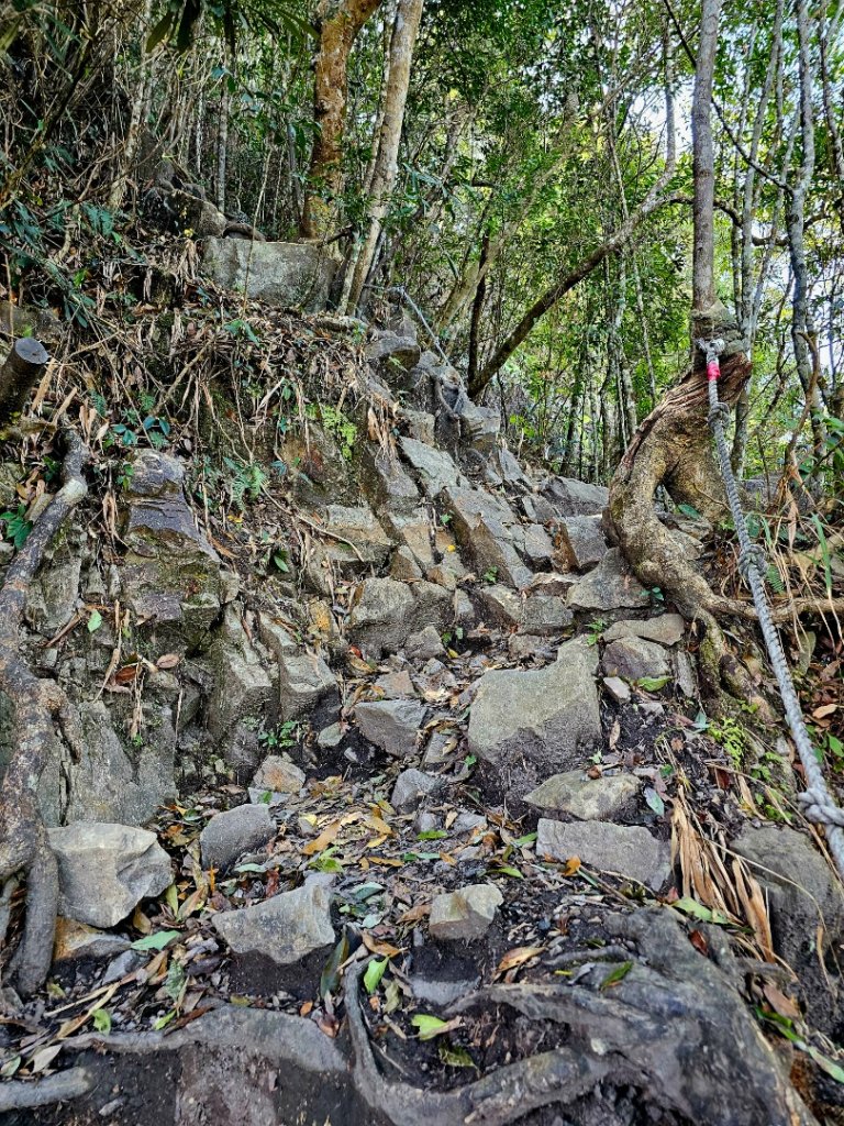 白毛山-谷關七雄(老六)_3015215