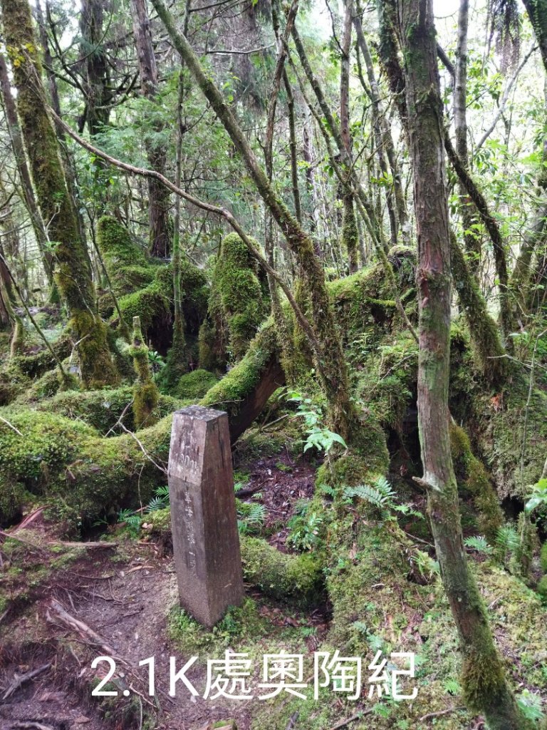 翠峰湖環山步道O行_1752309