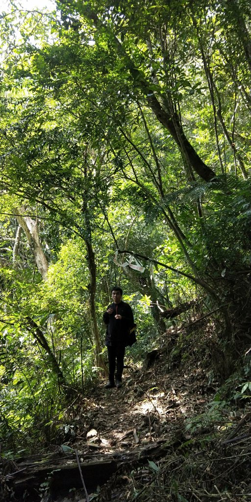 202102 三峽動物縱走小O繞_1278899