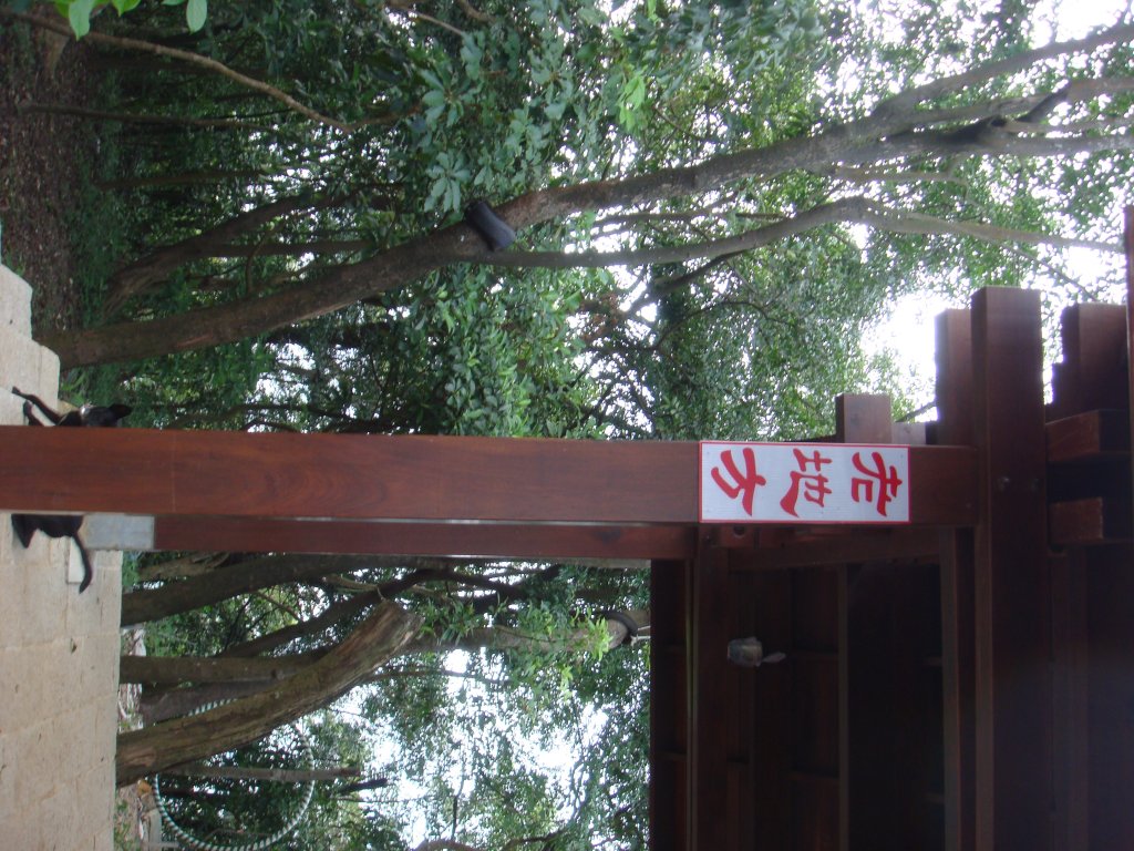 劍潭山親山步道_1792831