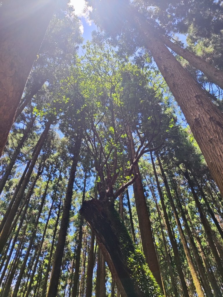 民都有山_2844995