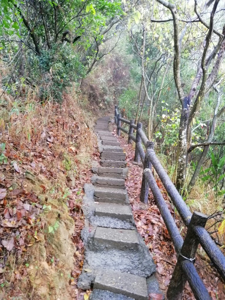 高雄大社~健身踏青好選擇~小百岳觀音山_907978