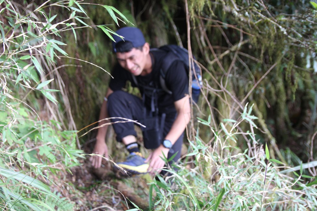 阿里山的櫻花前戲_1635079