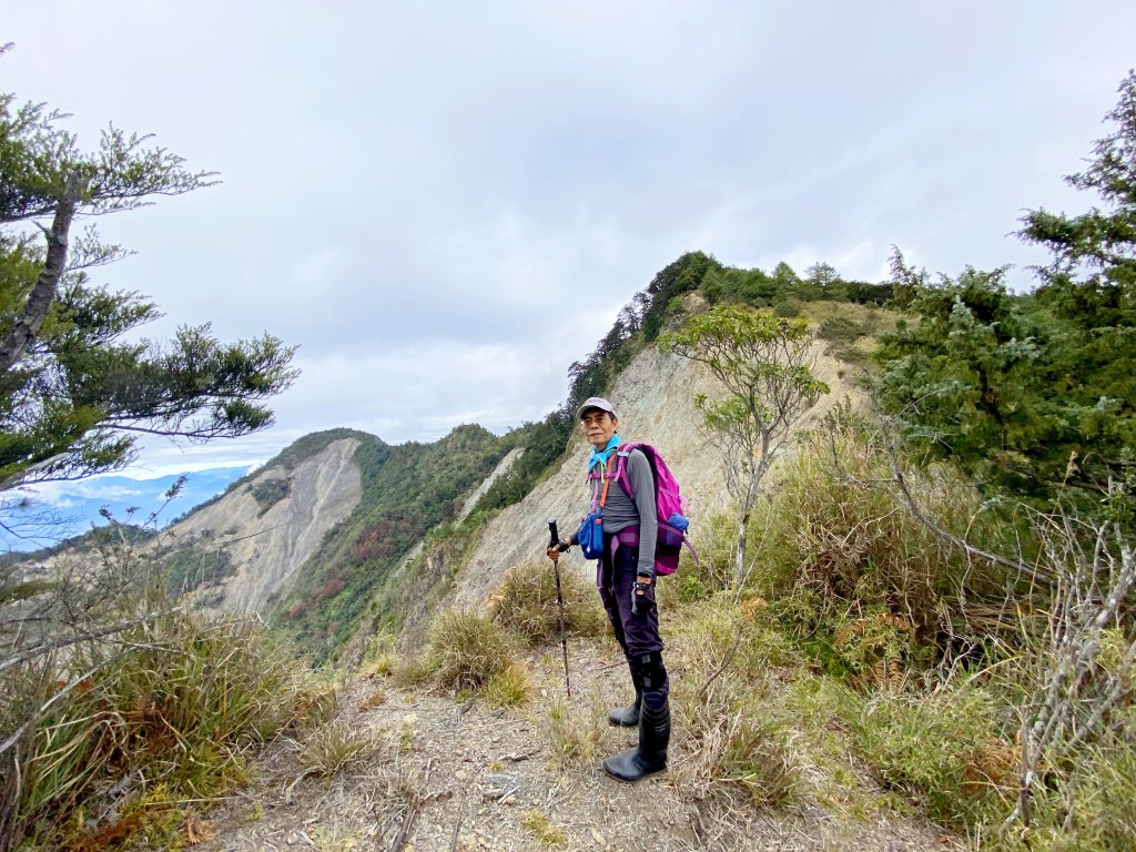 南橫小關山林道登斯拉巴庫山 202116_1233252