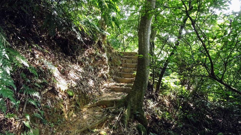 頂福巖森林步道(林口森林步道)_2283319