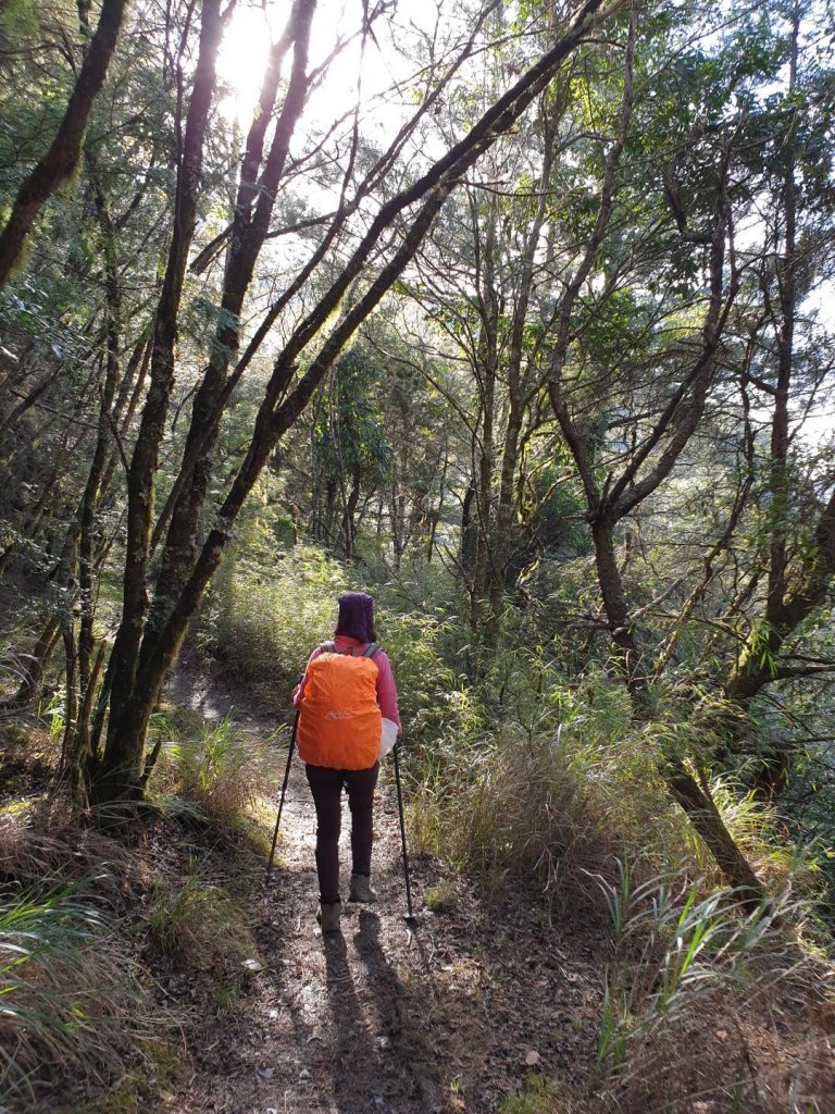 20190406畢祿山單攻_563697